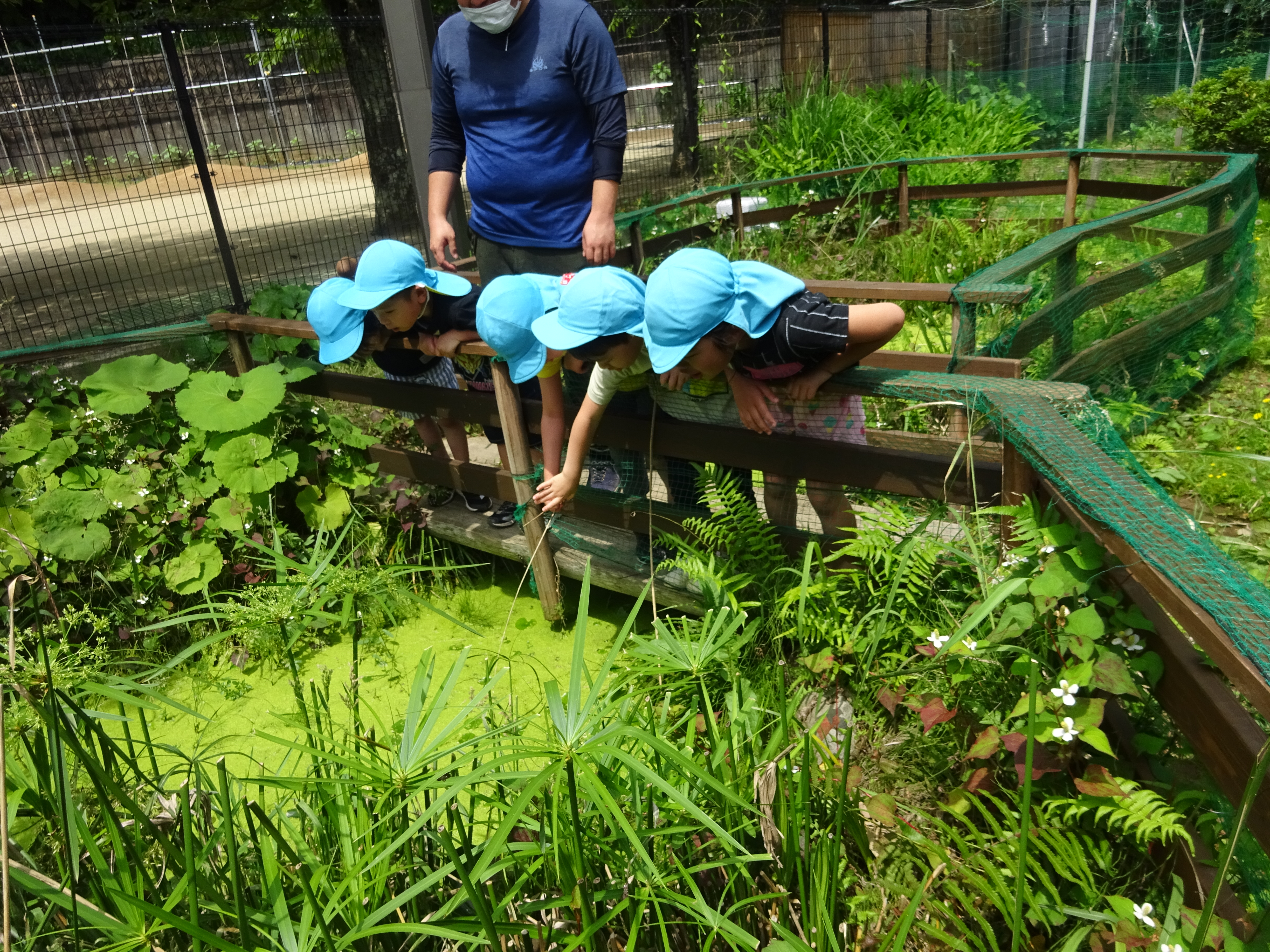 認定こども園　高見の森保育園